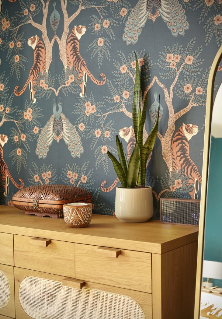 wood dresser with tiger patterned wallpaper behind, snake plant
