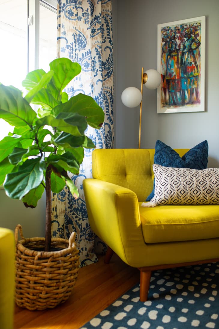 Yellow chair in living room surrounded by fig plant and standing lamp.