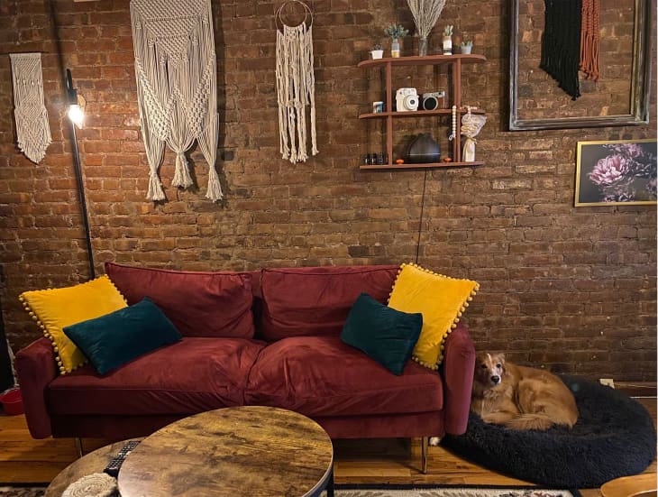 A red velvet couch in front of a brick wall with a dog in a dog bed to the right
