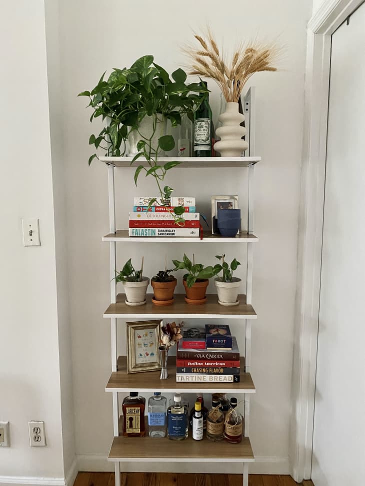 A white bookshelf with books, plants, and art