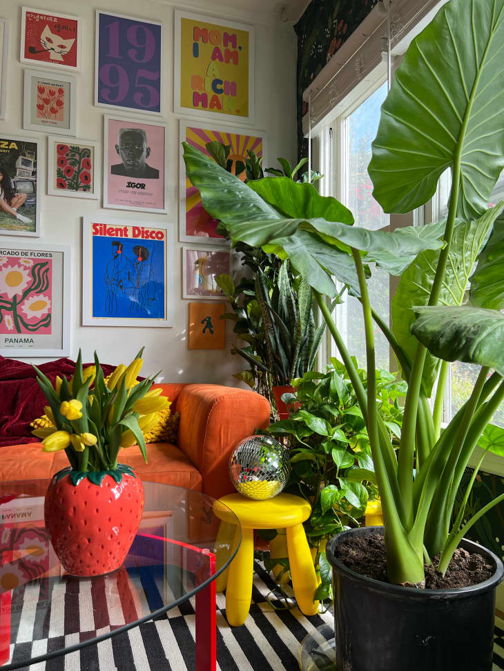 gallery wall, graphic art, orange fabric couch, curved couch, cow print rug, plants, yellow tri leg bubble stool, flowers, red leg coffee table with glass top, disco ball, strawberry vase