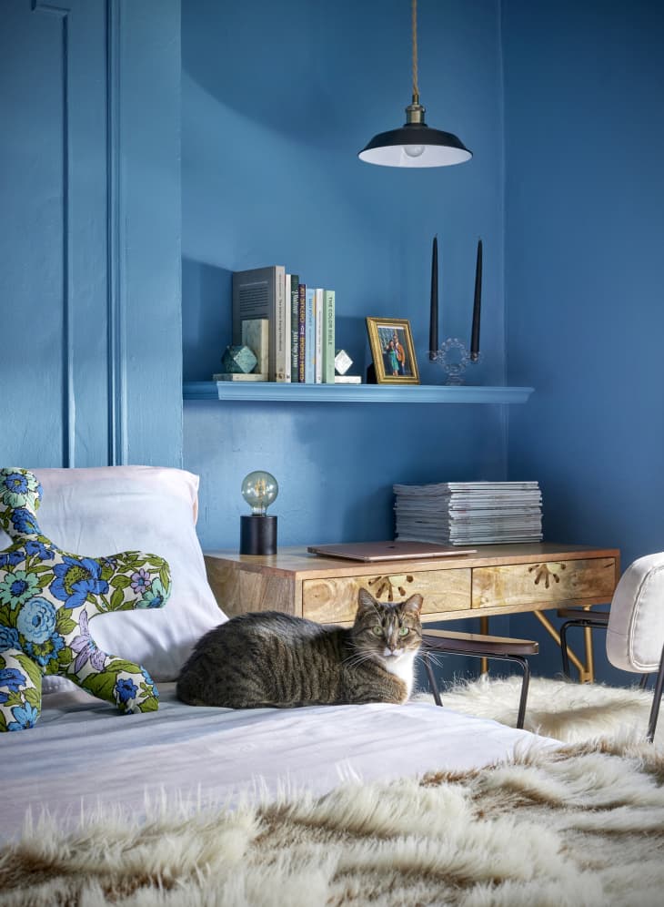 cat on bed in blue bedroom with wainscoted walls. Wood desk with white leather chair and blue shelves above with books, candles. Bed has faux fur throw