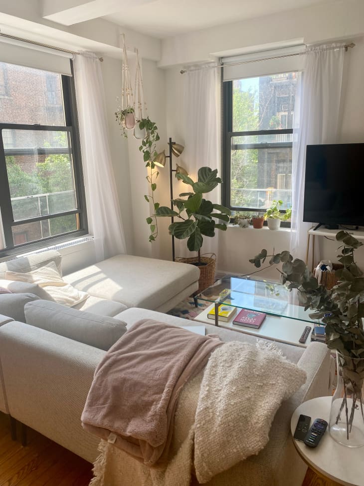 Plant filled living room space in studio apartment with grey sectional sofa.