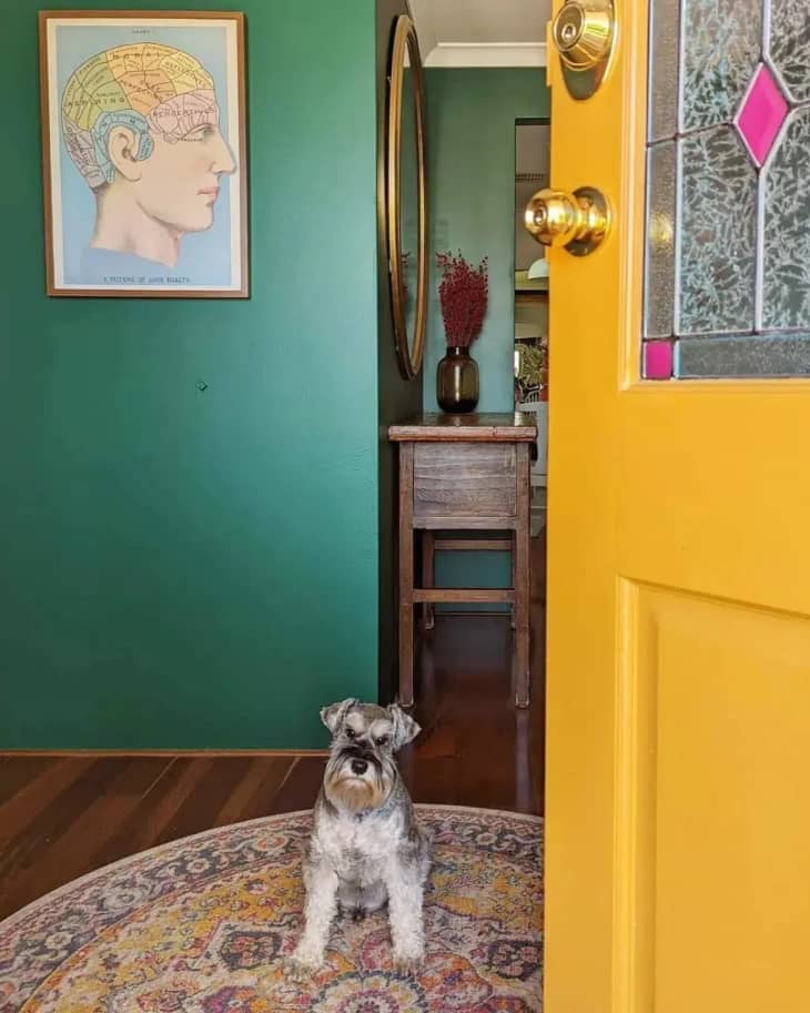Dog sits at entry of home with bright yellow door with stained glass and green painted entryway.