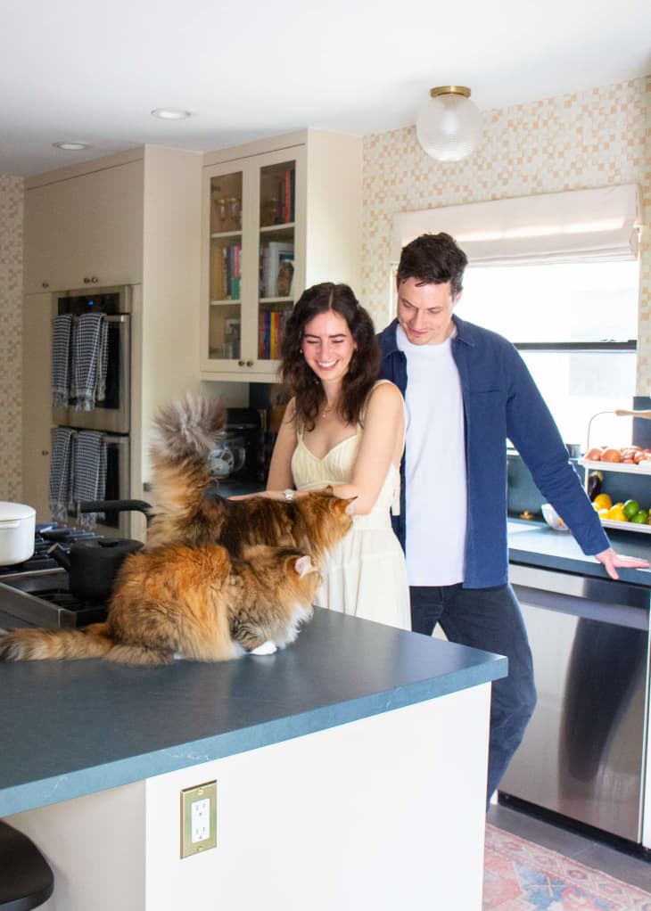 Dwellers in kitchen playing with cats on counter.