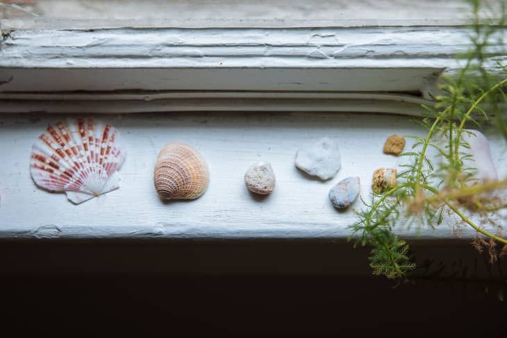 Seashells on a window sill.