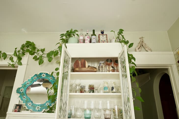 Detail of white cabinet with glassware, plants draped over