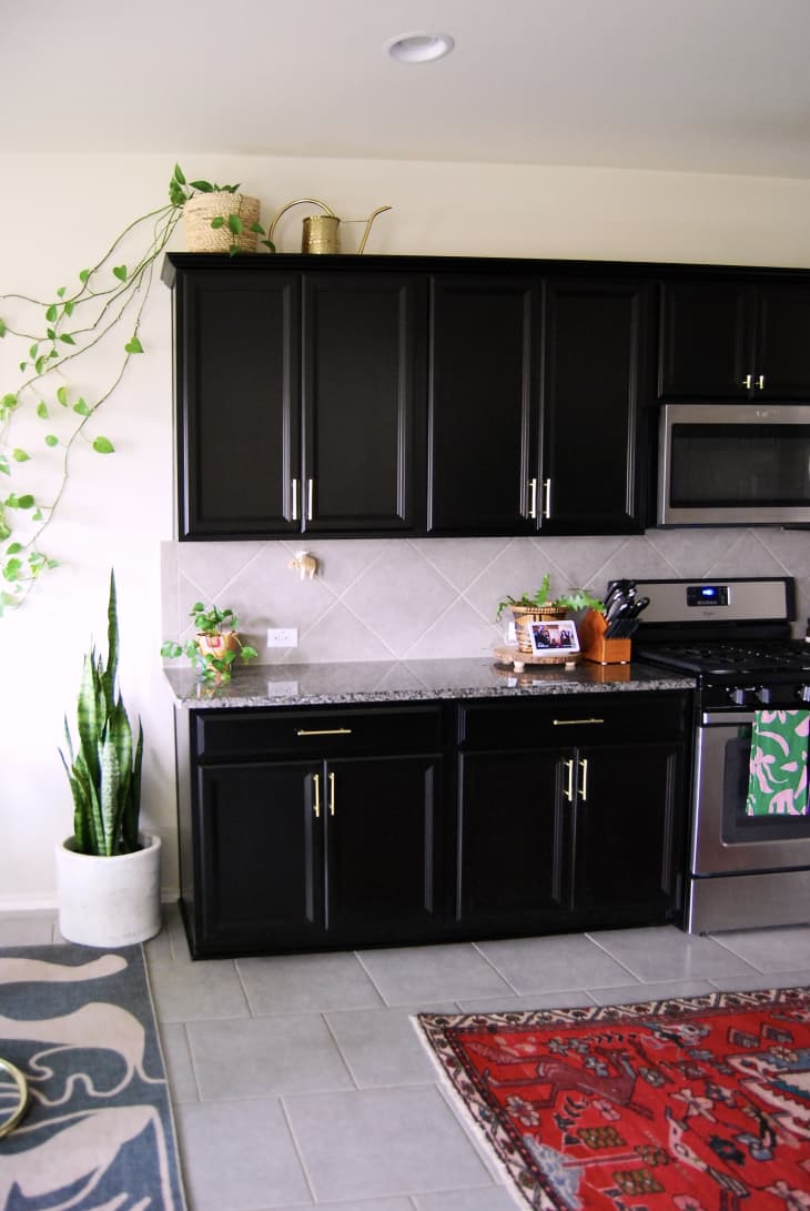 House plants on top of dark cabinets in kitchen.