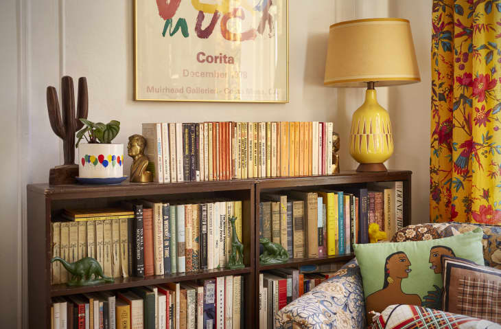 bookshelves in colorful Brooklyn apartment