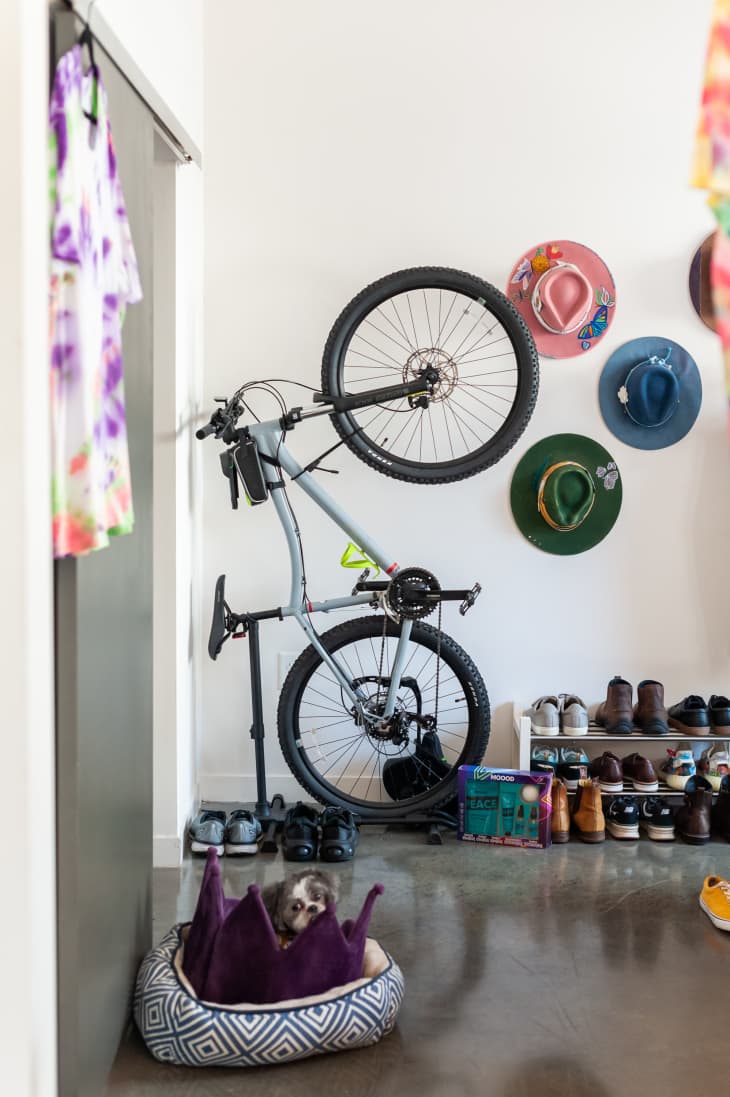 room with bicycle on floor rack, hats hanging on the wall, shoe rack, dog in bed in foreground