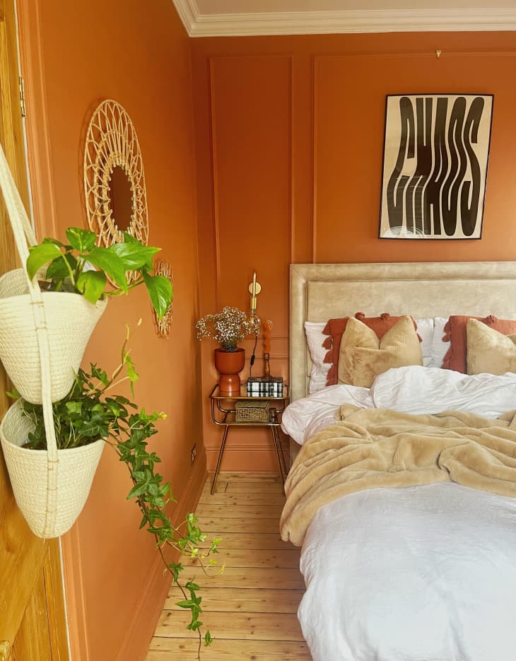 bedroom with terracotta walls, hanging plants