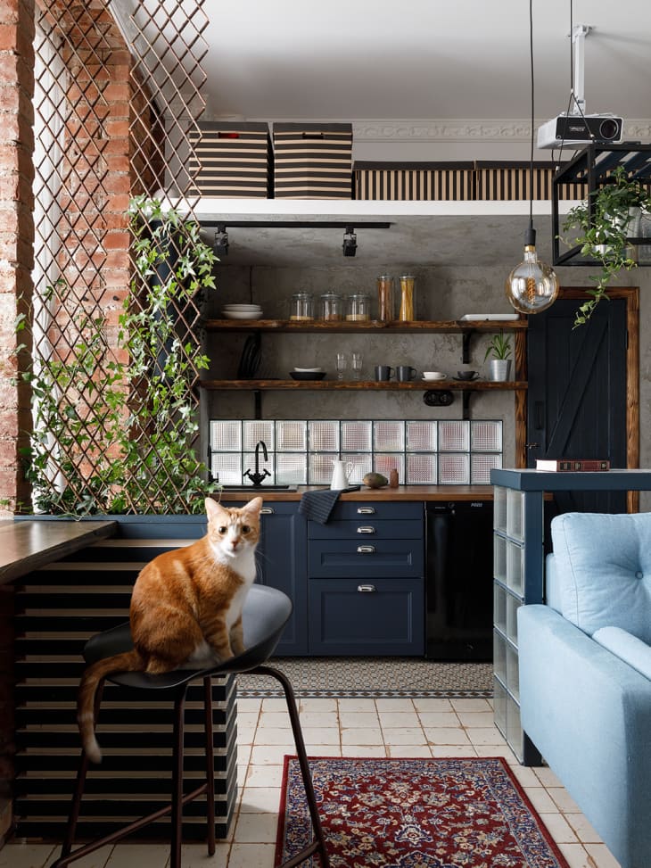 Kitchen with dark blue cabinets, glass block backsplash, open wood shelving, patterned tile floor, exposed brick wall corners. Orange and white cat on stool in foreground