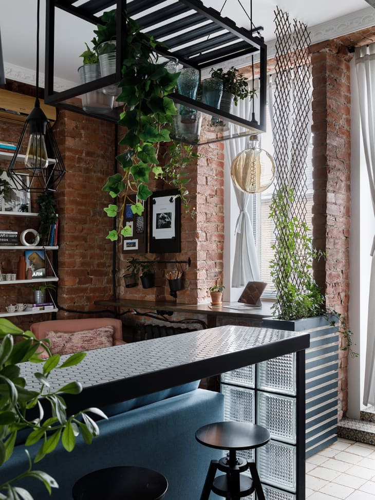 kitchen into living room transition: exposed brick, hanging plants, black details, large windows