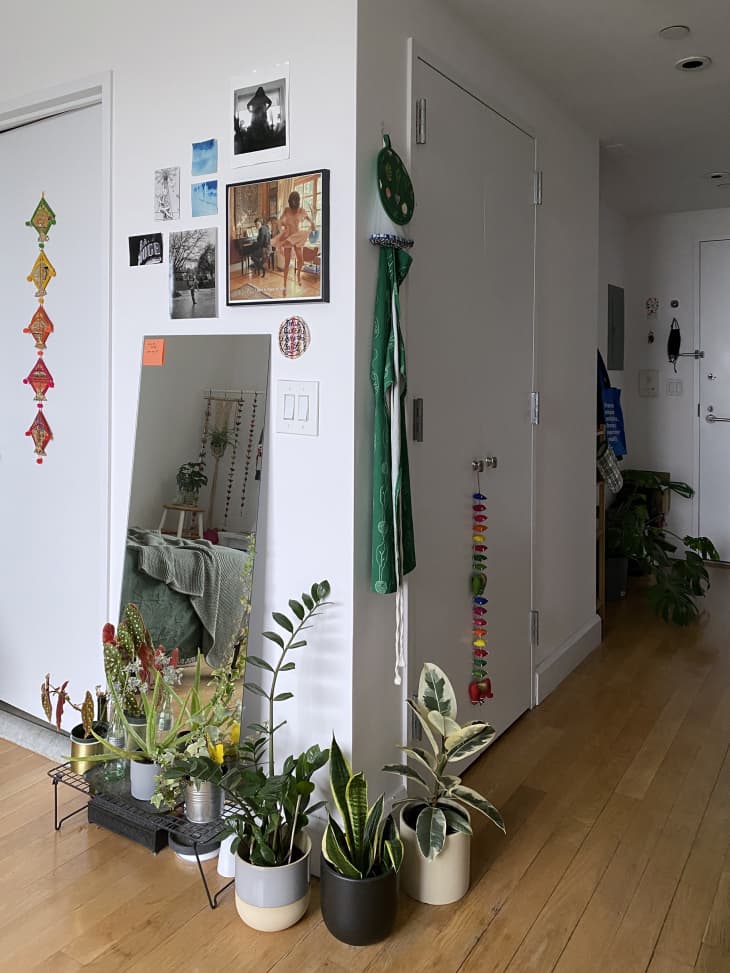 Entry area of apartment with white walls, wood floors, lots of plants on the floor, full length mirror