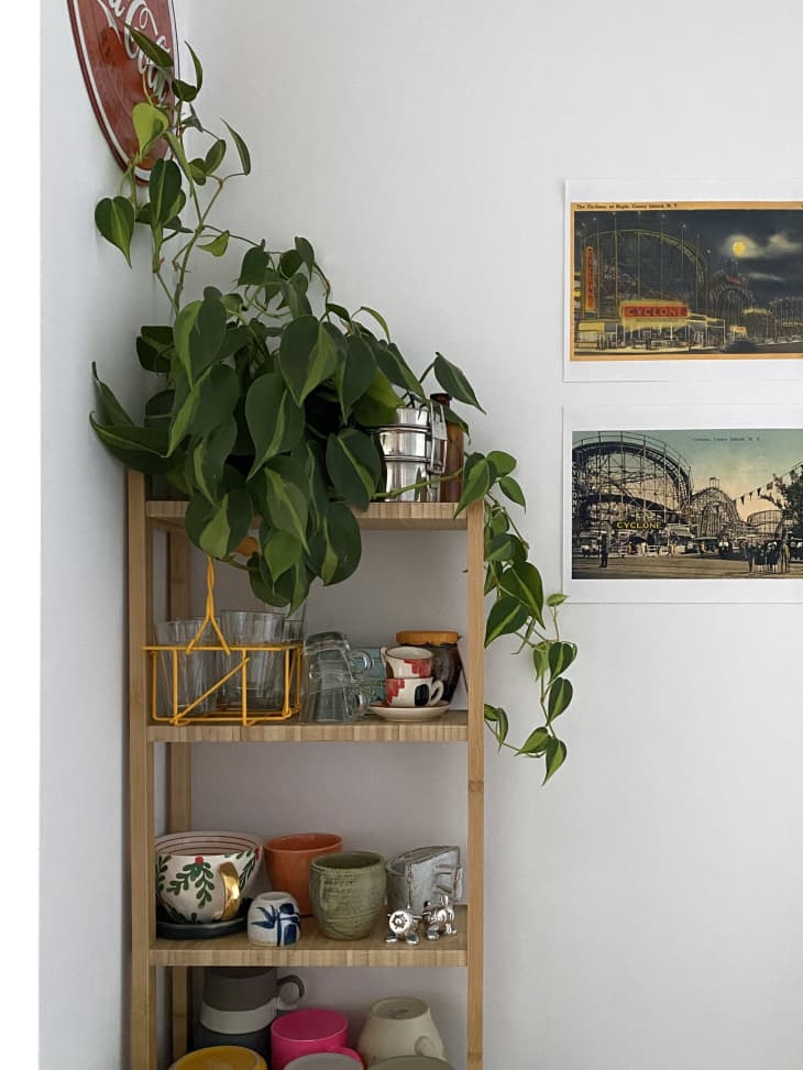 detail of wood shelves with plants, mugs, dishes. Art on white wall