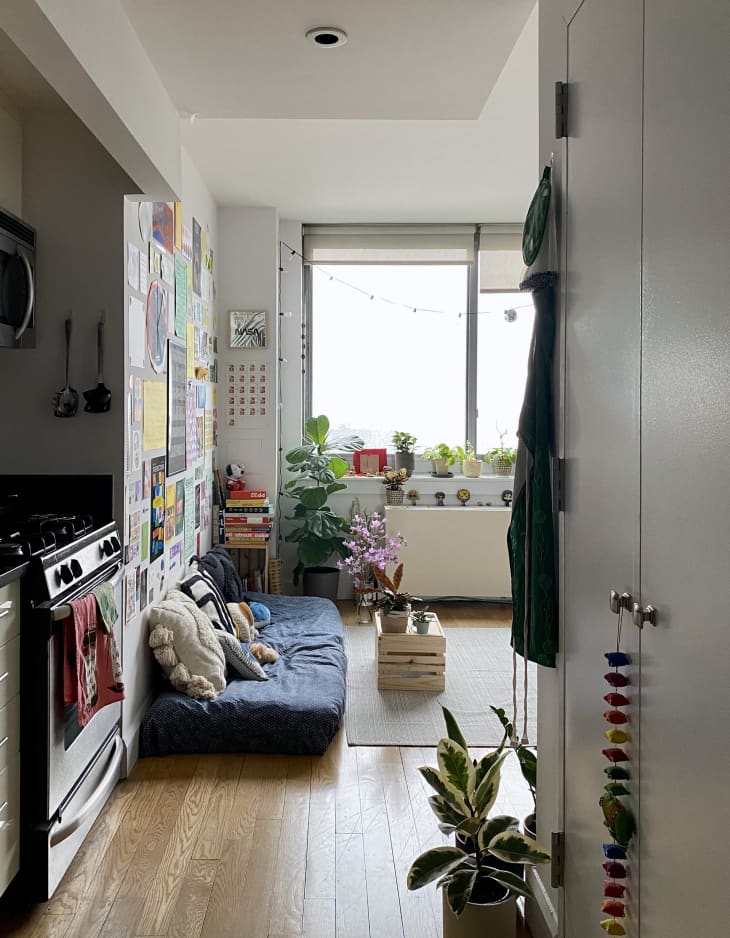 view from entryway into living space in brooklyn apartment: cushioned seating on floor with navy blue cover, black white and navy throw pillows. unframed art gallery wall on wall behind. crate as coffee table and crate with stack of books. Plants on floor and radiator, large window, white walls, pale neutral area rug