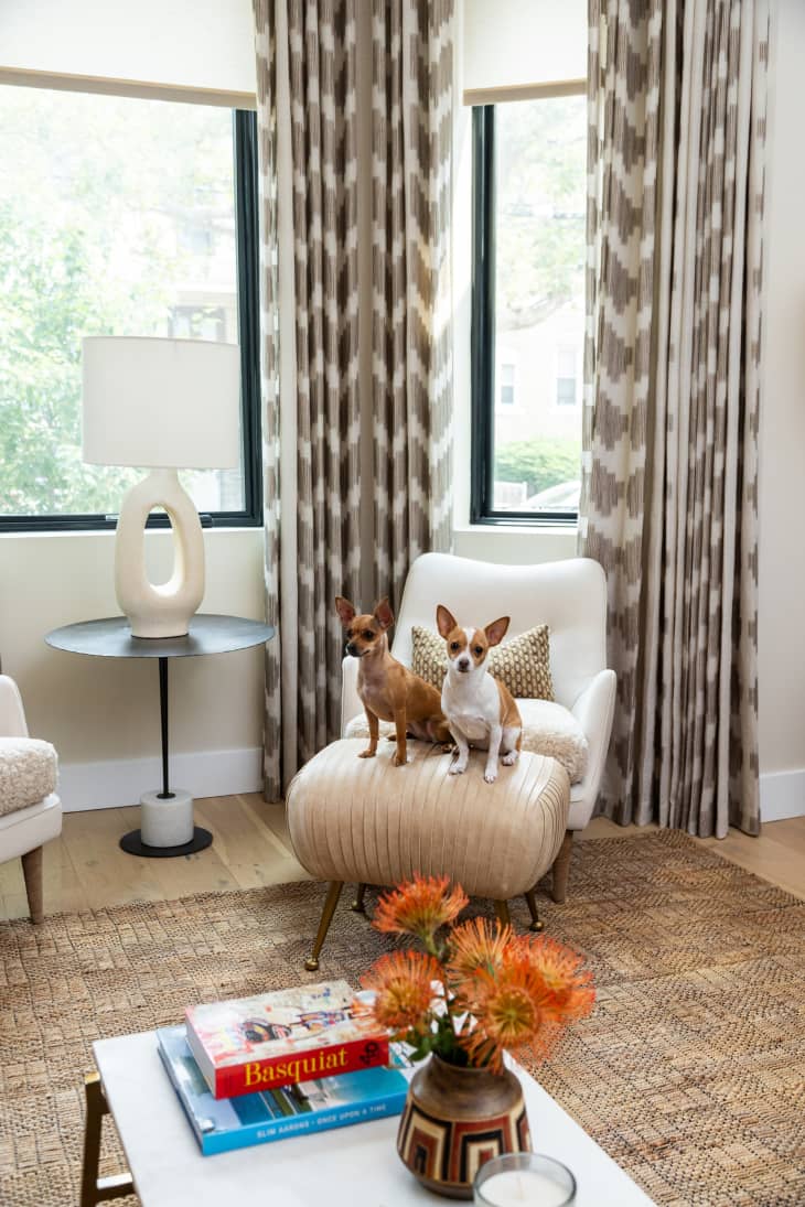 Dweller dogs on a lounge chair ottoman