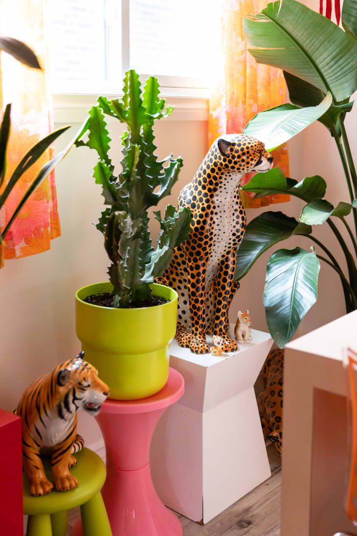 Cheetah figurine in front of plant filled window.