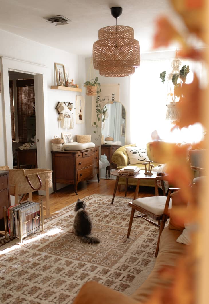 White living room decorated in warm hues with lots of vintage furniture and decor. Cat on rug