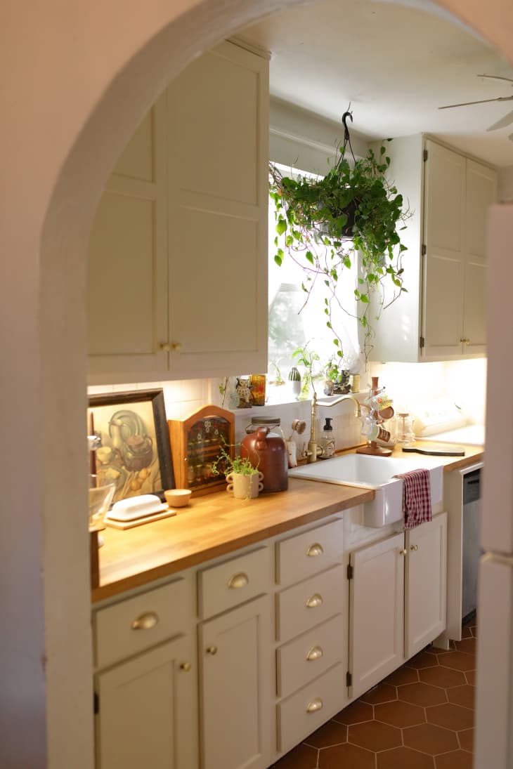 kitchen with butcher block counters, pale green cabinets, and hanging plants