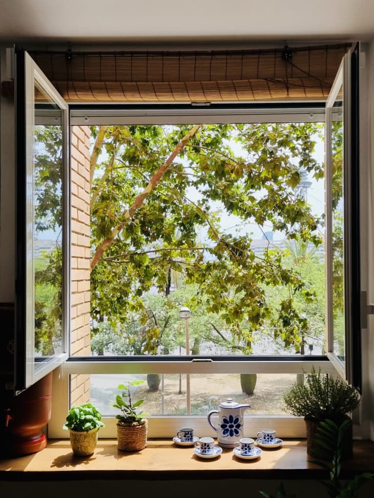 picture window with small ledge for plants and cups
