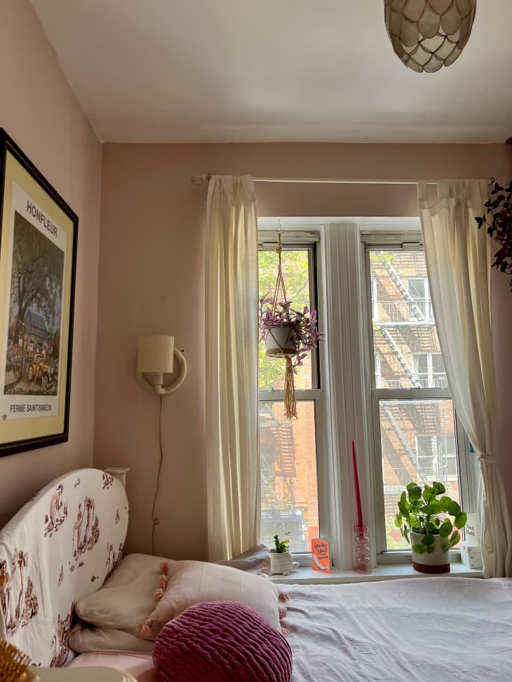 Plant hangs in window of light pink painted bedroom.