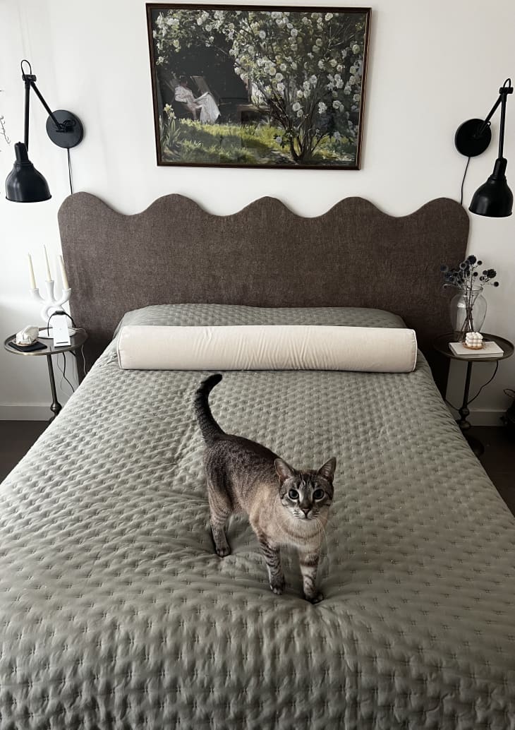 scalloped headboard in dark wood with black adjustable wall sconces and textured cotton comforter, cat on bed and art work above headboard