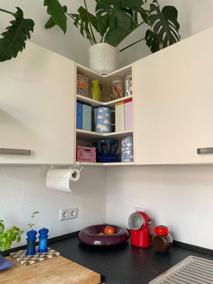 Decorative kitchenware in corner cabinets of plant filled kitchen.