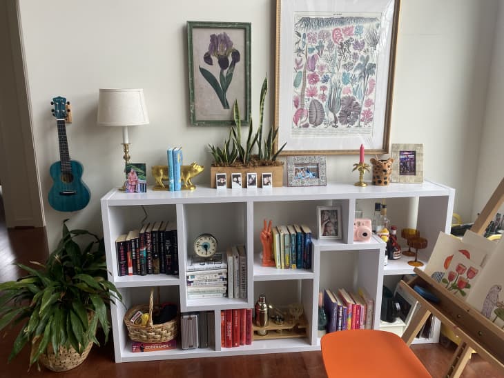 White bookshelf with books, plants, art objects