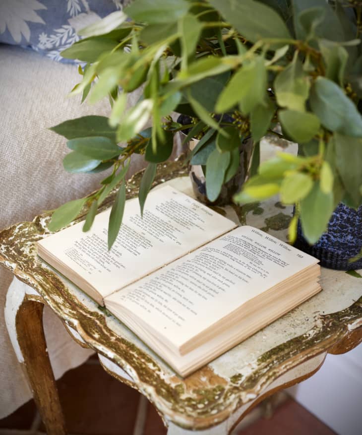 An open book in a bedroom on a vintage table with plants.
