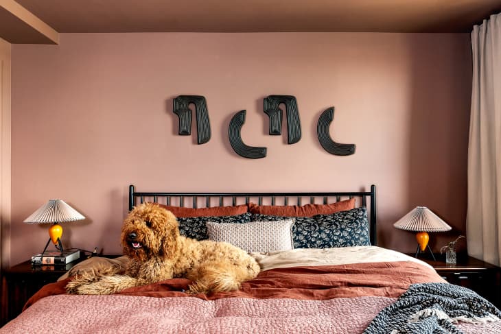 Dog sitting on neatly made bed in dusty pink bedroom.
