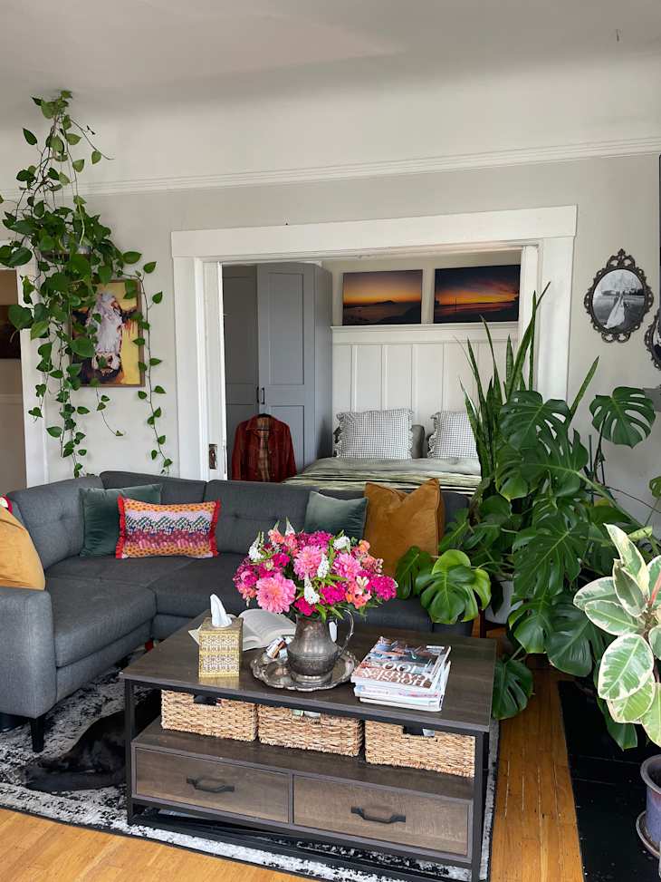 Cozy living room with a gray sectional sofa, colorful cushions, a coffee table with flowers, and plants.