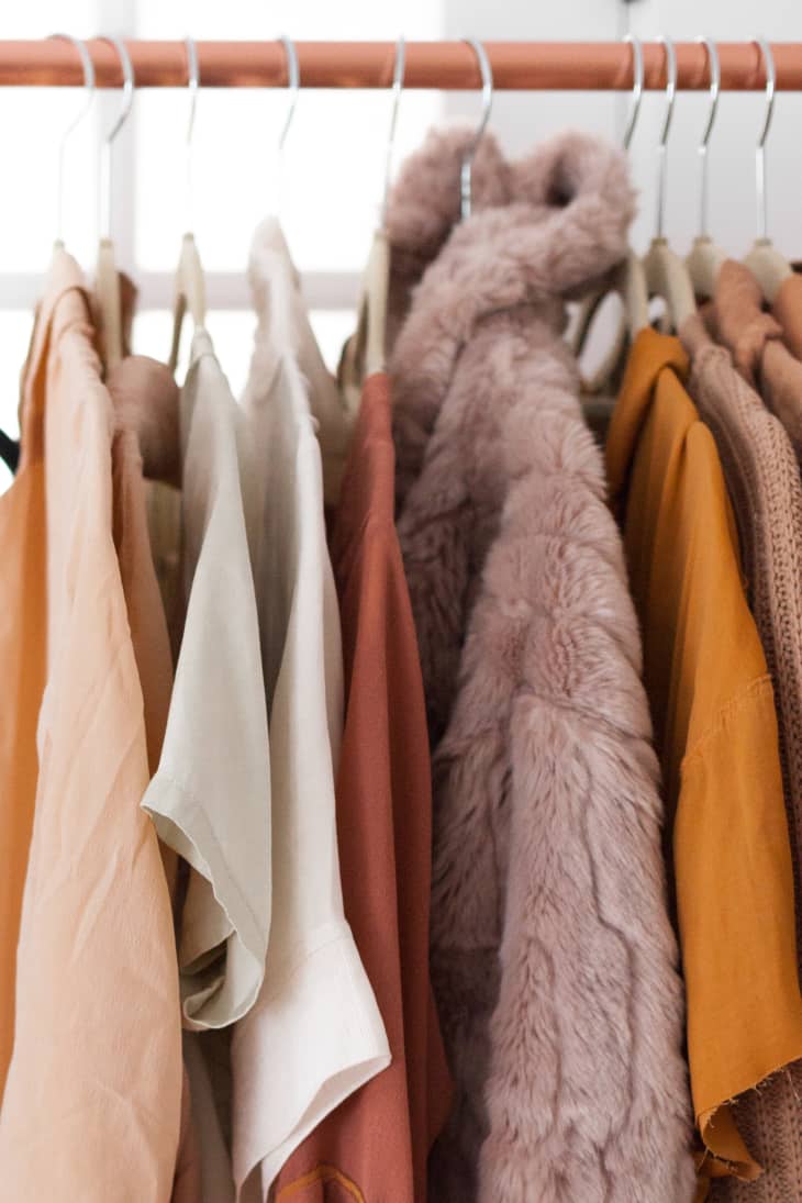 Women's tops, dresses, and a faux fur coat of the same shade of color are hung  neatly in a row