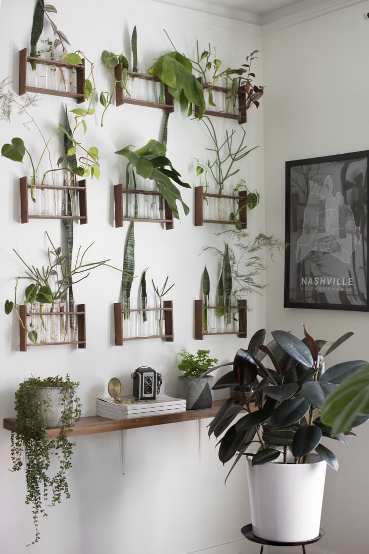 How to Display Houseplants 21 of Our Favorite Plant Display Ideas ...