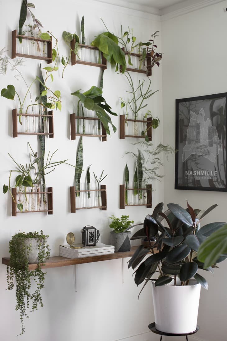 I want a type of like 3-sided glass pane thing to put my plants behind for  the corner of my room on a corner-table. I have NO IDEA at all what to