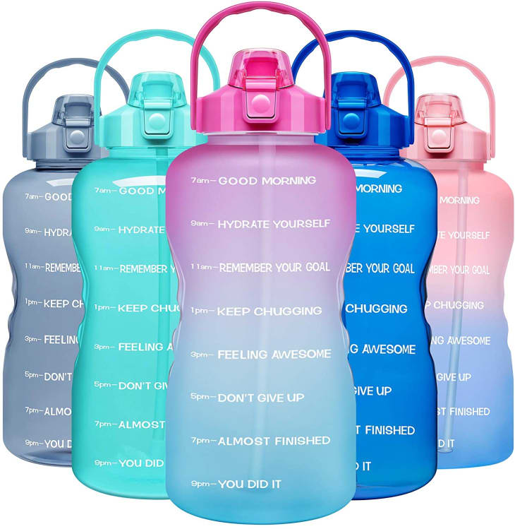 Product Image: Venture Pal Large Motivational Water Bottle