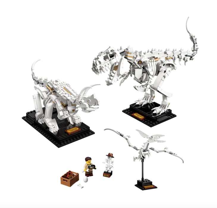 Product Image: Lego Dinosaur Fossils