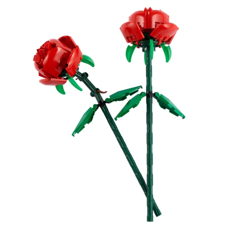 Product Image: Lego Roses