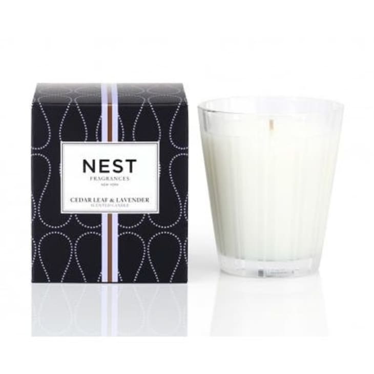 Product Image: Nest Fragrances Cedar Leaf and Lavender Candle
