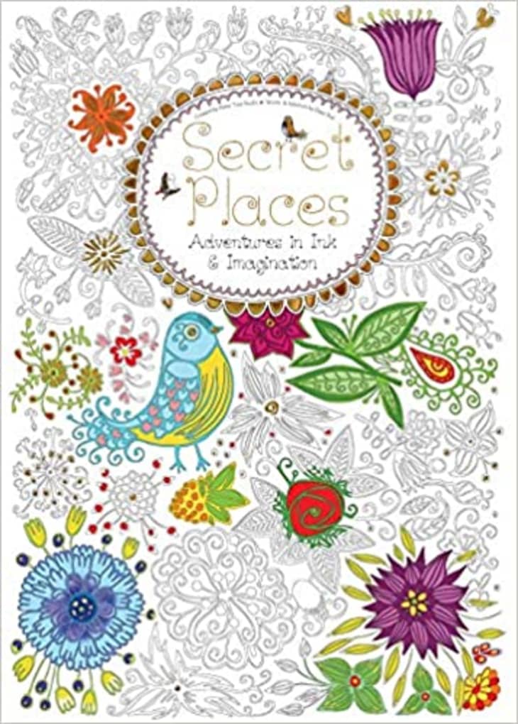 Product Image: Secret Places: Adventures in Ink and Imagination