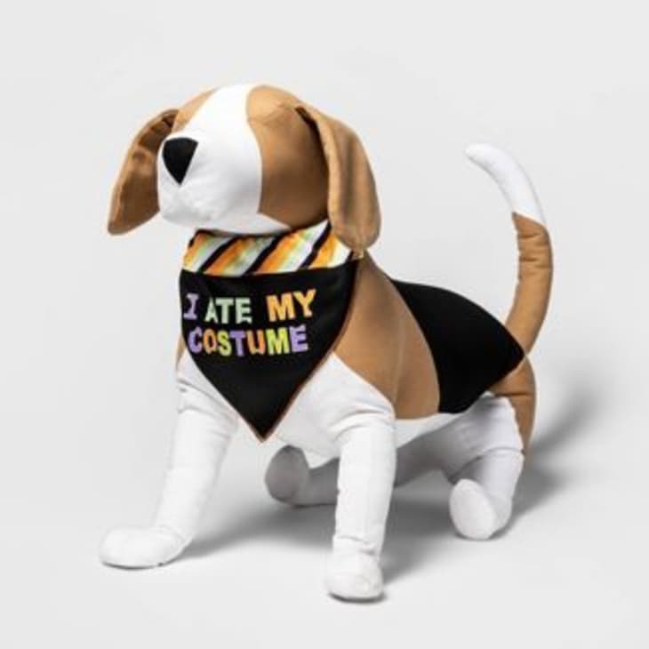 I Ate My Costume Dog Collar Slide Bandana at Target
