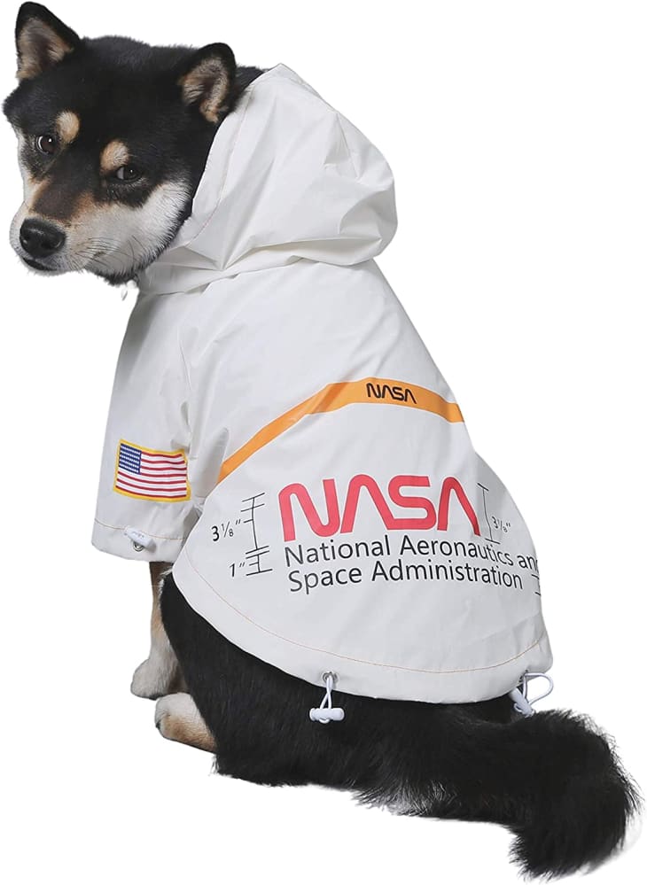 Dog NASA Costume at Amazon