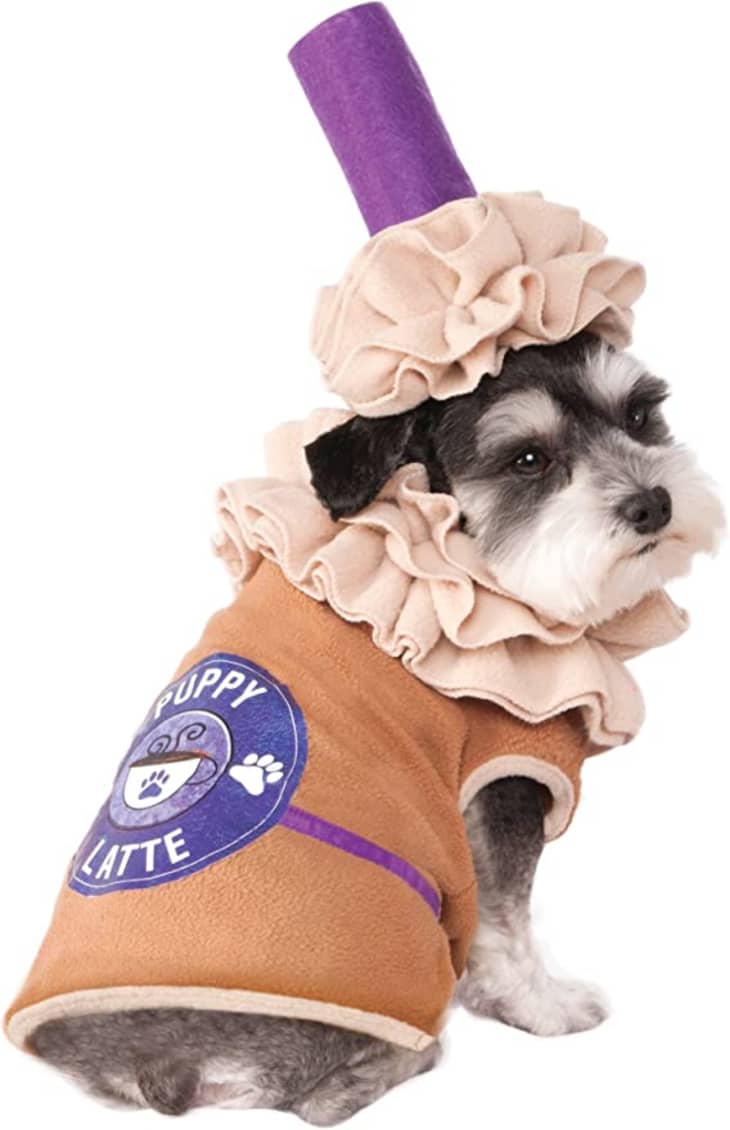 Rubie's Puppy Latte Pet Costume at Amazon