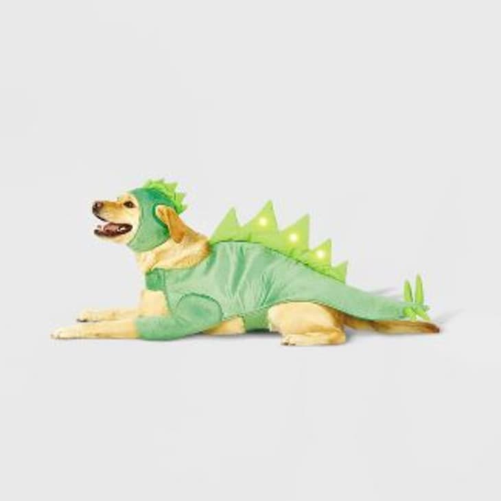 LED Stegosaurus Dinosaur Dog and Cat Costume at Target