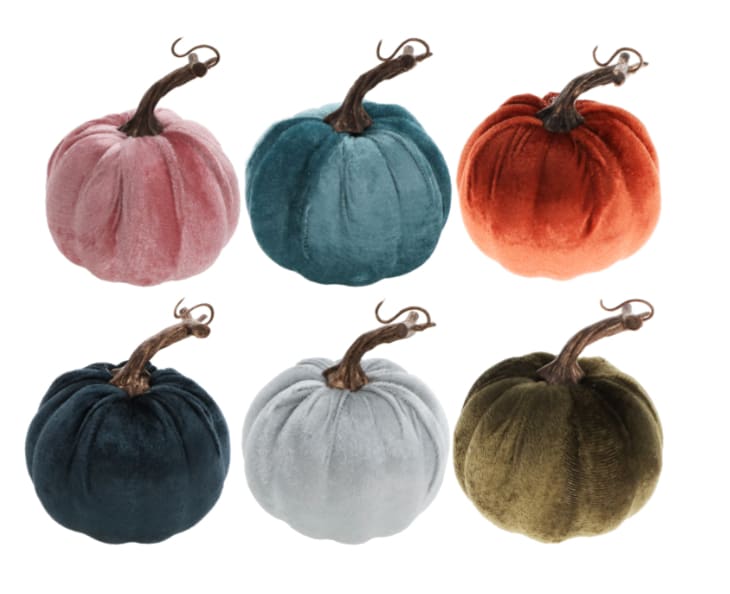 Product Image: Modern Velvet Pumpkins