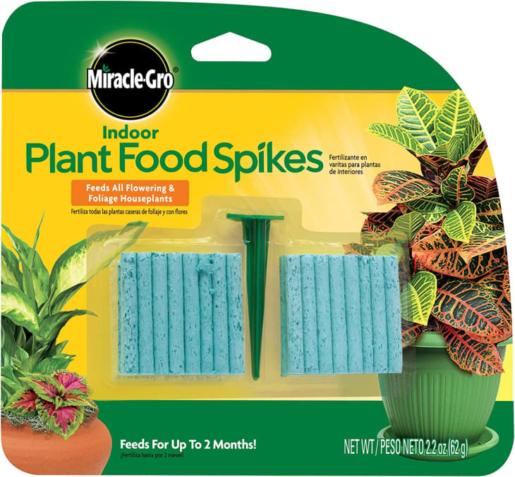 Product Image: Miracle-Gro Indoor Plant Food Spikes