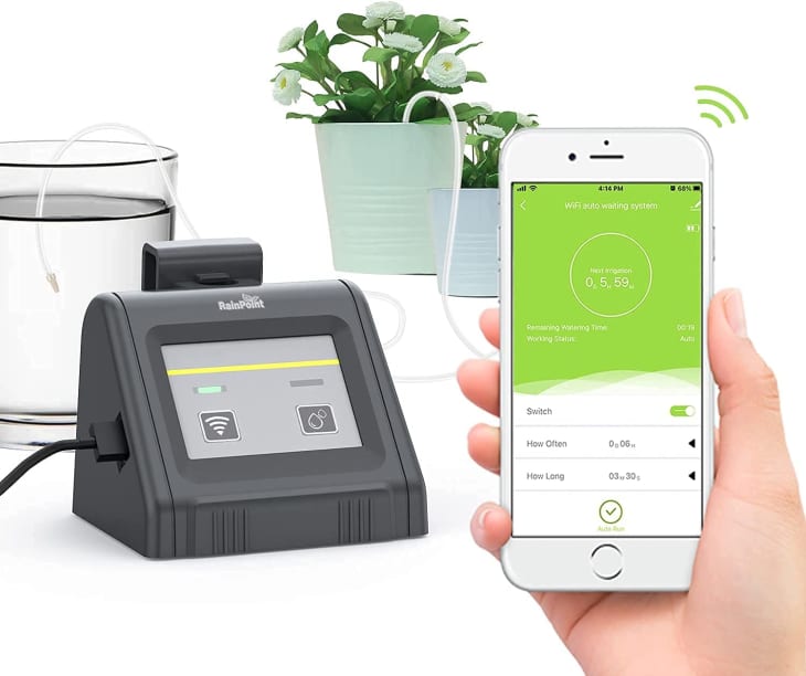 Product Image: RAINPOINT WiFi Automatic Watering System For Indoor Potted Plants