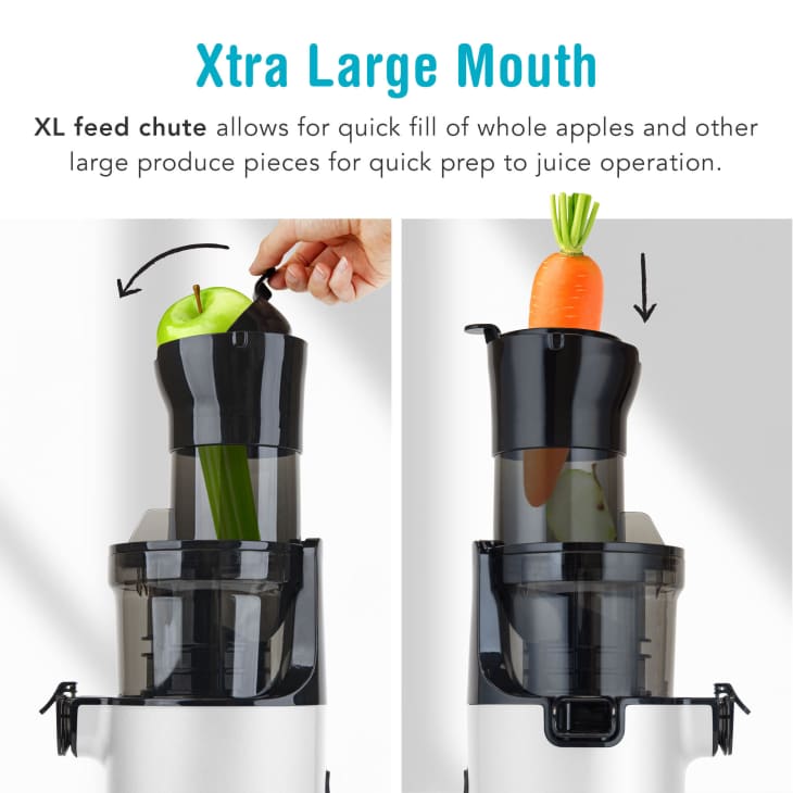 Product Image: Shine Easy Cold Press Juicer with XL Feed Chute and Compact Body