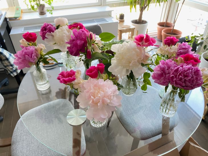 Multiple bud vases on dining table.