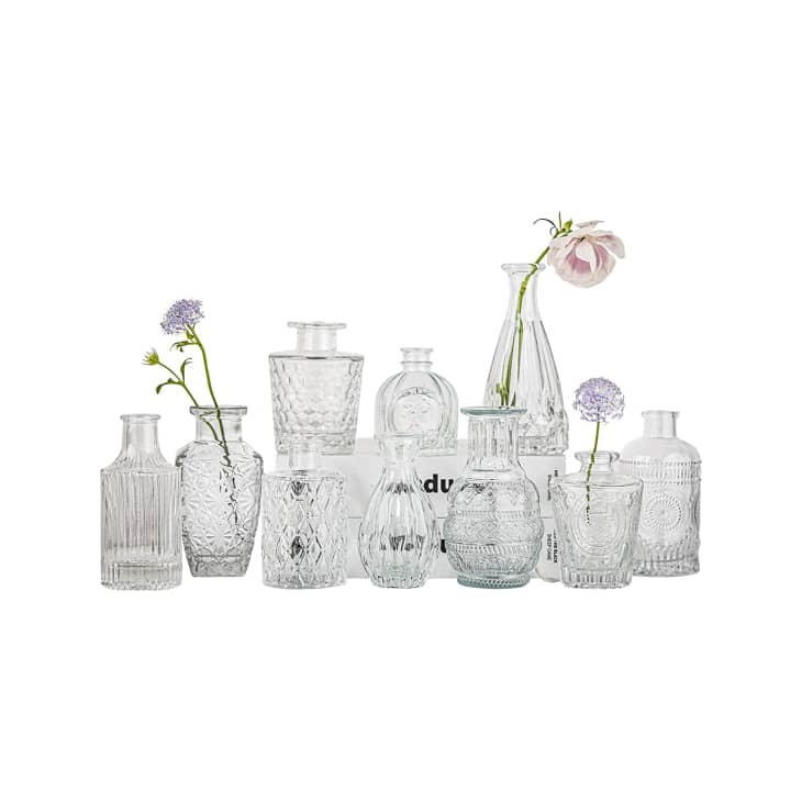 Product Image: Glass Bud Vase Set of 10